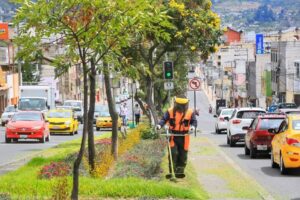 Inscribe a tu barrio para que se transforme en un espacio verde