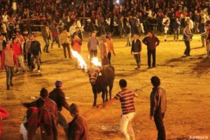 Novillo de Bombas, una tradición única en Ecuador