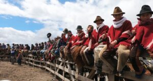 Paseo del chagra y rodeo criollo este sábado en Quero