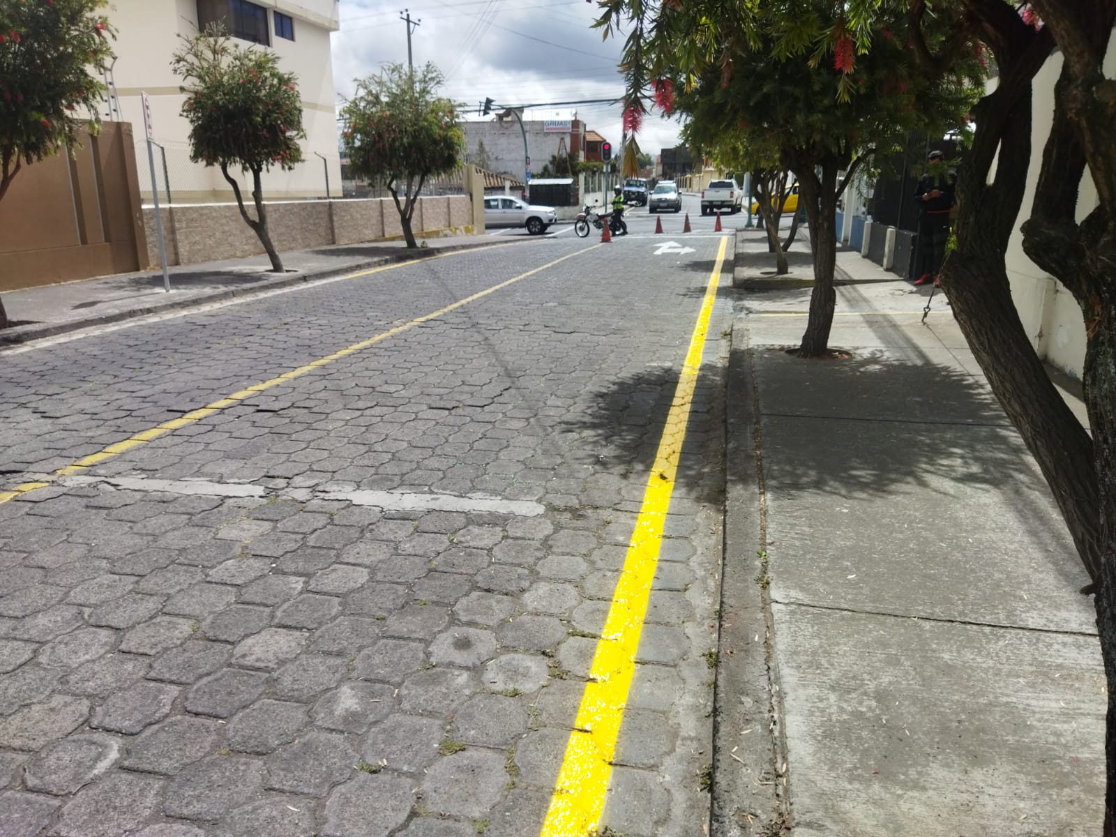 Las líneas amarillas ya son visibles otra vez. En esta calle está prohibido estacionarse.