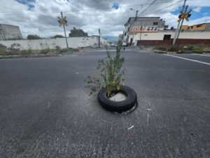 Vecinos colocan un neumático y una planta para prevenir a los conductores sobres los baches