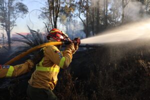 Recomendaciones de seguridad ante incendios forestales