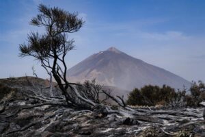 Extinción por fuegos de origen humano hace 13.000 años expone amenaza del cambio climático