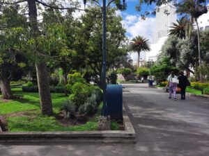 Ratas y ratones se ‘pasean’ por los parques de la ciudad