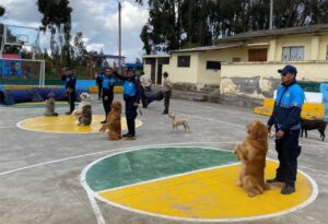 Show canino, títeres y danza  este sábado en Cunchibamba