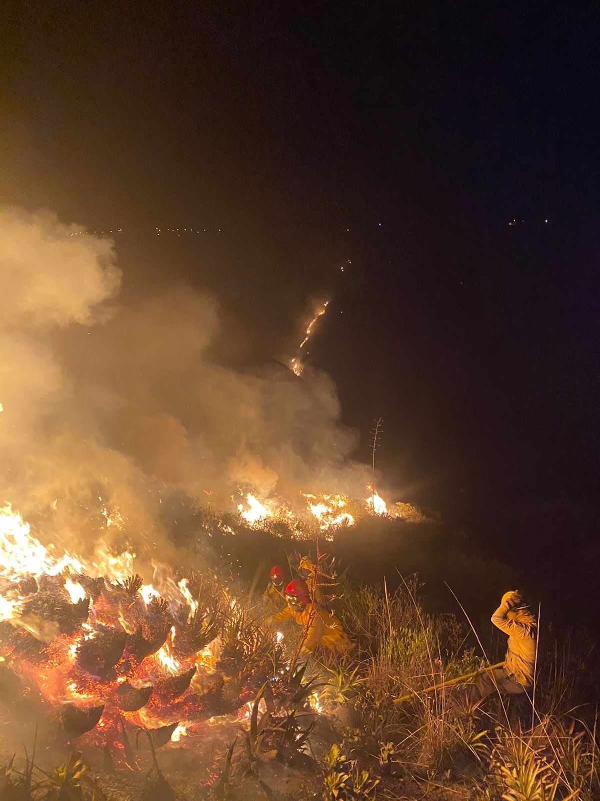 Flagelos. Bomberos de todo Carchi han intervenido para apagar las llamas en diferentes sectores.