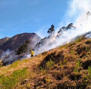 Autoridades toman medidas ante incendios forestales