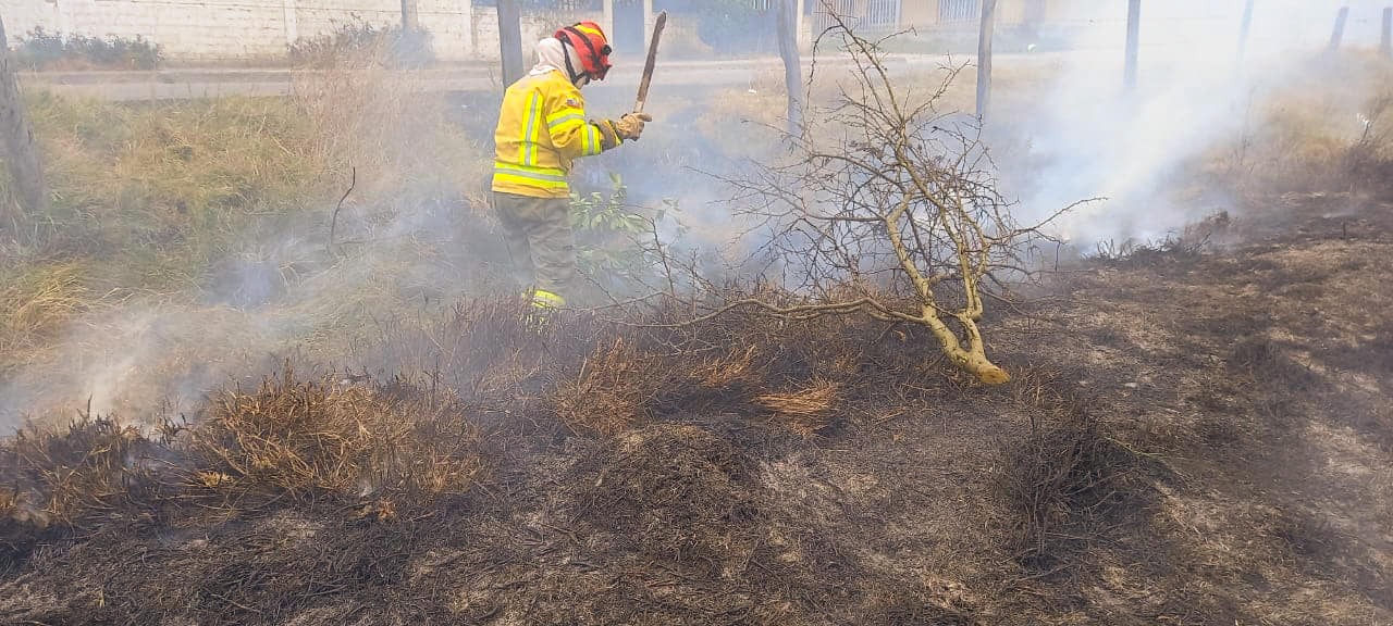 Loja encabeza la lista de provincias con más pérdidas de vegetación por incendios forestales