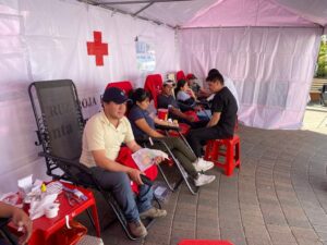 Cruz Roja efectuará campaña de donación de sangre