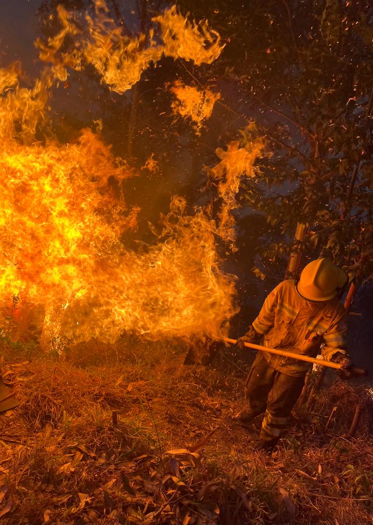 125 hectareas de vegetación afectadas tras incendio en Malacatos