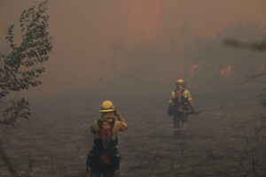 Bomberos responden con rapidez a los incendios forestales en Oyambarillo