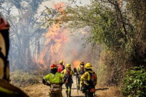Preocupación ante la creciente incidencia de incendios forestales provocados en Quito