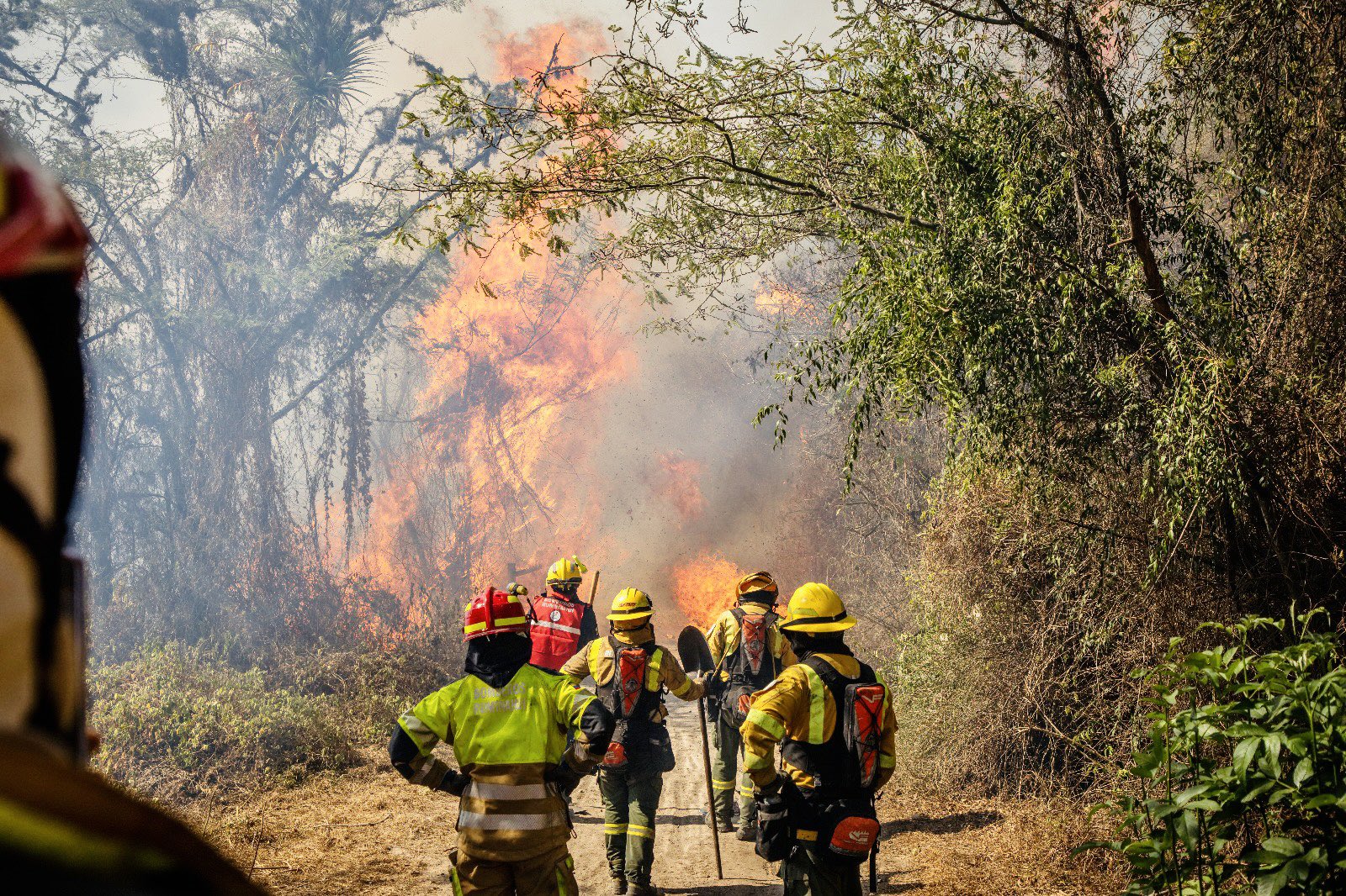 Temporada. Los flagelos forestales en quito no dan tregua a los bomberos