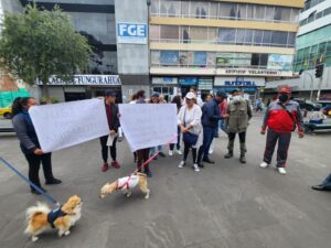 Inicia proceso para juzgar al asesino de una  cachorra en Ambato