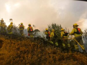 Incendios forestales tienen sometida a la provincia