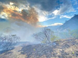 125 hectareas de vegetación afectadas tras incendio en Malacatos