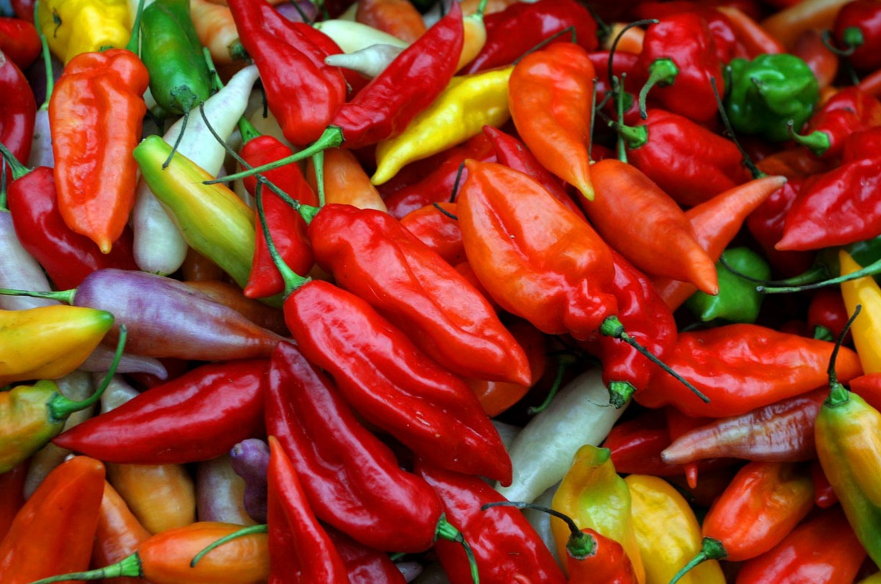 Chili peppers have several types and presentations.