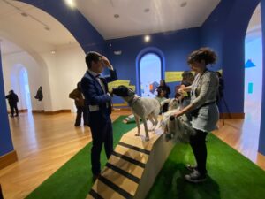 Vive una exposición de arte junto a tu perro en el Centro de Arte Contemporáneo en Quito