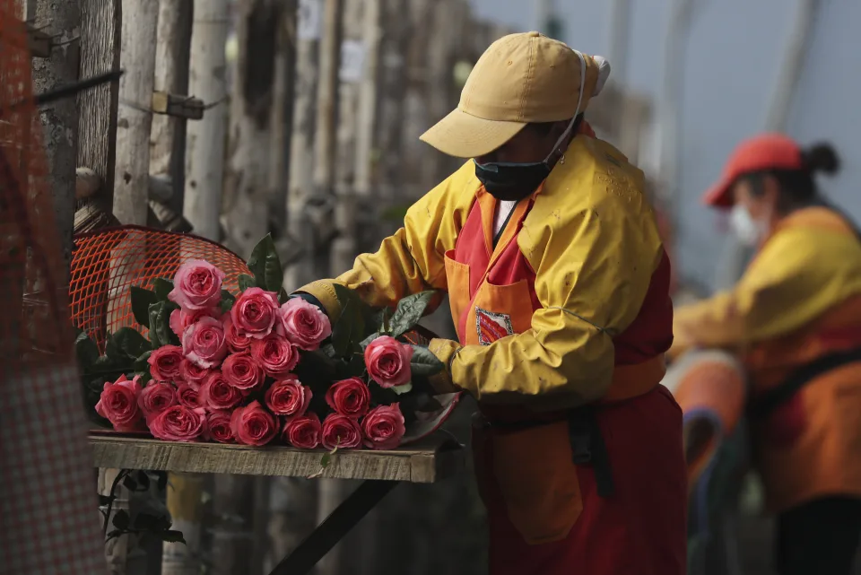 exportación flores ecuador colombia