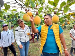 Granadilla de Íntag llega a mercados europeos