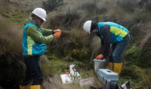 Dos tipos de abusos de las medidas de protección constitucional golpean a la inversión y el desarrollo económico del Ecuador