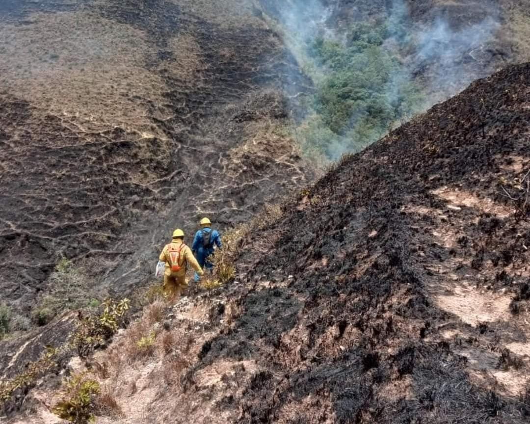 ACCIONES. Trabajo permitió controlar una parte del incendio producido hace varios días en la zona limítrofe de dos cantones de la provincia de Loja.