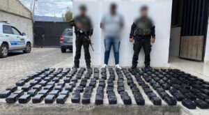 Un detenido en Imbabura con 103 kilos de heroína 