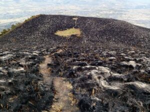 40 hectáreas consumidas por incendio en el Imbabura