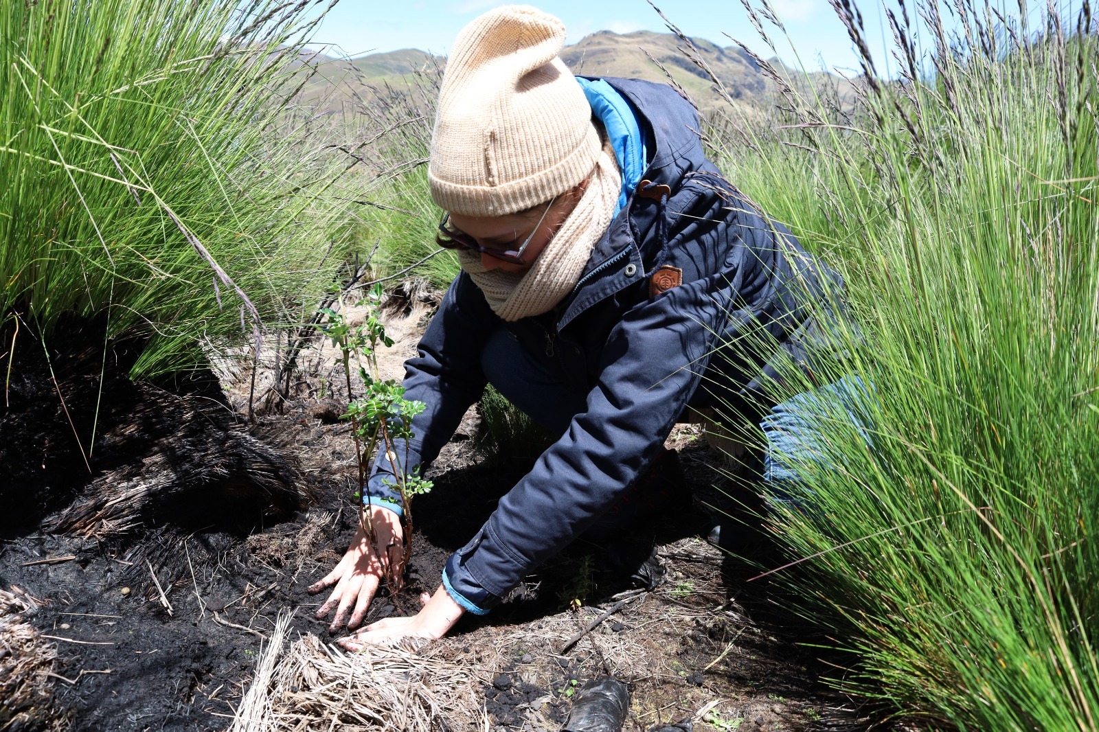 Con la semana por el clima que impulsa el Gobierno Provincial de Tungurahua se reforestarán dos sectores, uno en Santa Rosa y otro en Pelileo.