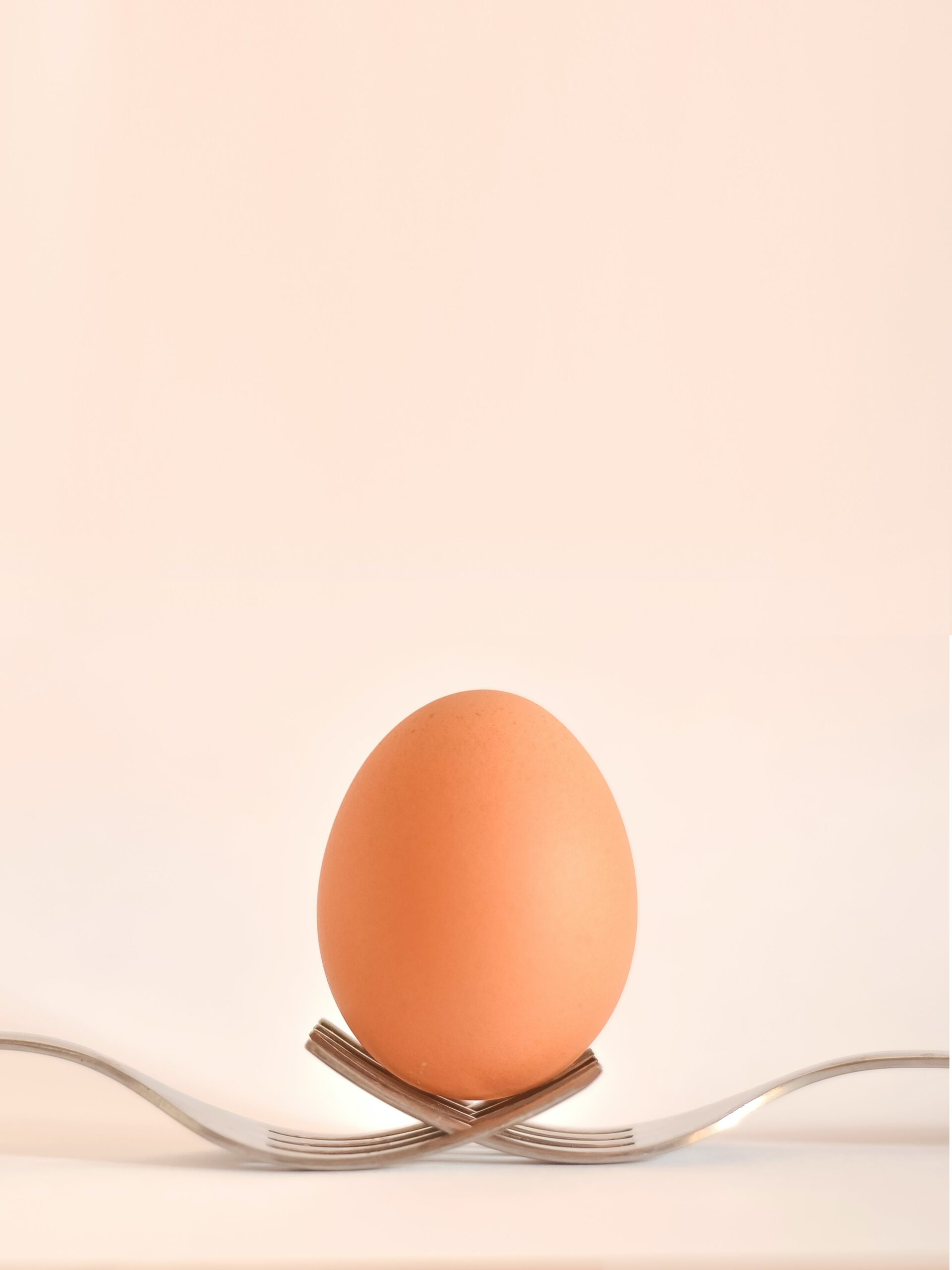 Nutrición. Existen diversos estudios sobre los efectos de comer huevo.