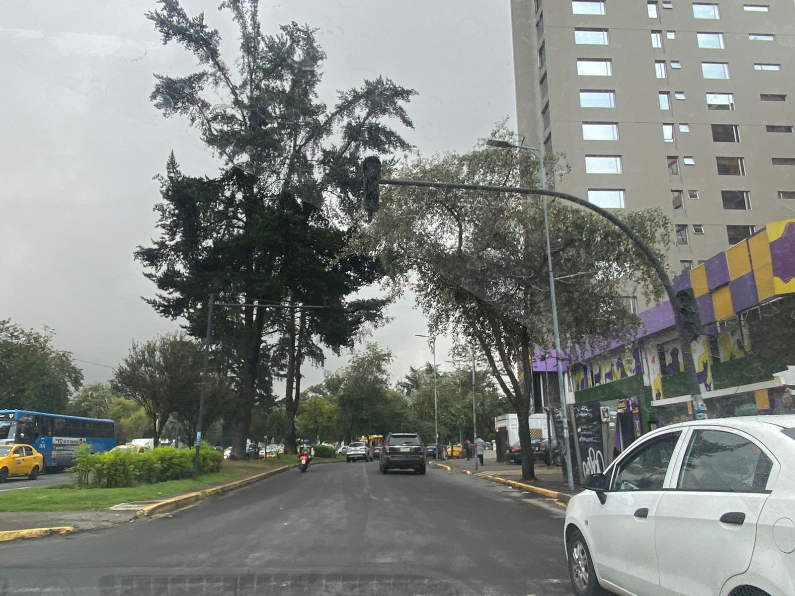 Avenida semáforo Quito autos