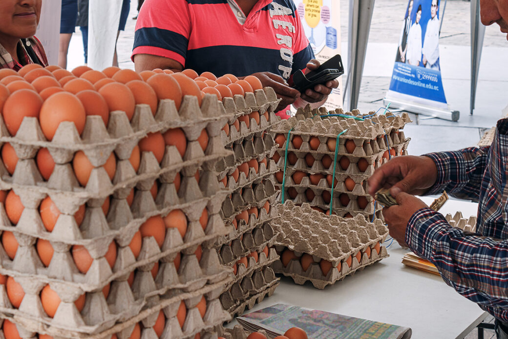 Huevos economía Conave Ecuador