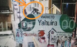 Hombre intenta arrojarse del letrero del viaducto de La Yahuira