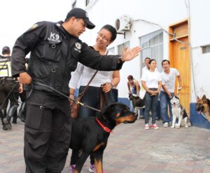 Encuentro de perros amaestrados este viernes en Ambato