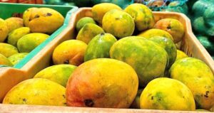 El mango es la fruta de temporada