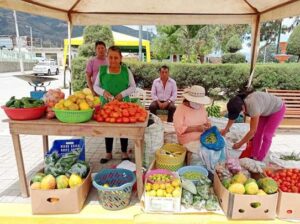 Precio elevado de insumos preocupa a productores de Catamayo