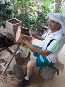 Apicultor creó ‘Museo Vivo de Abejas Nativas en Puyango
