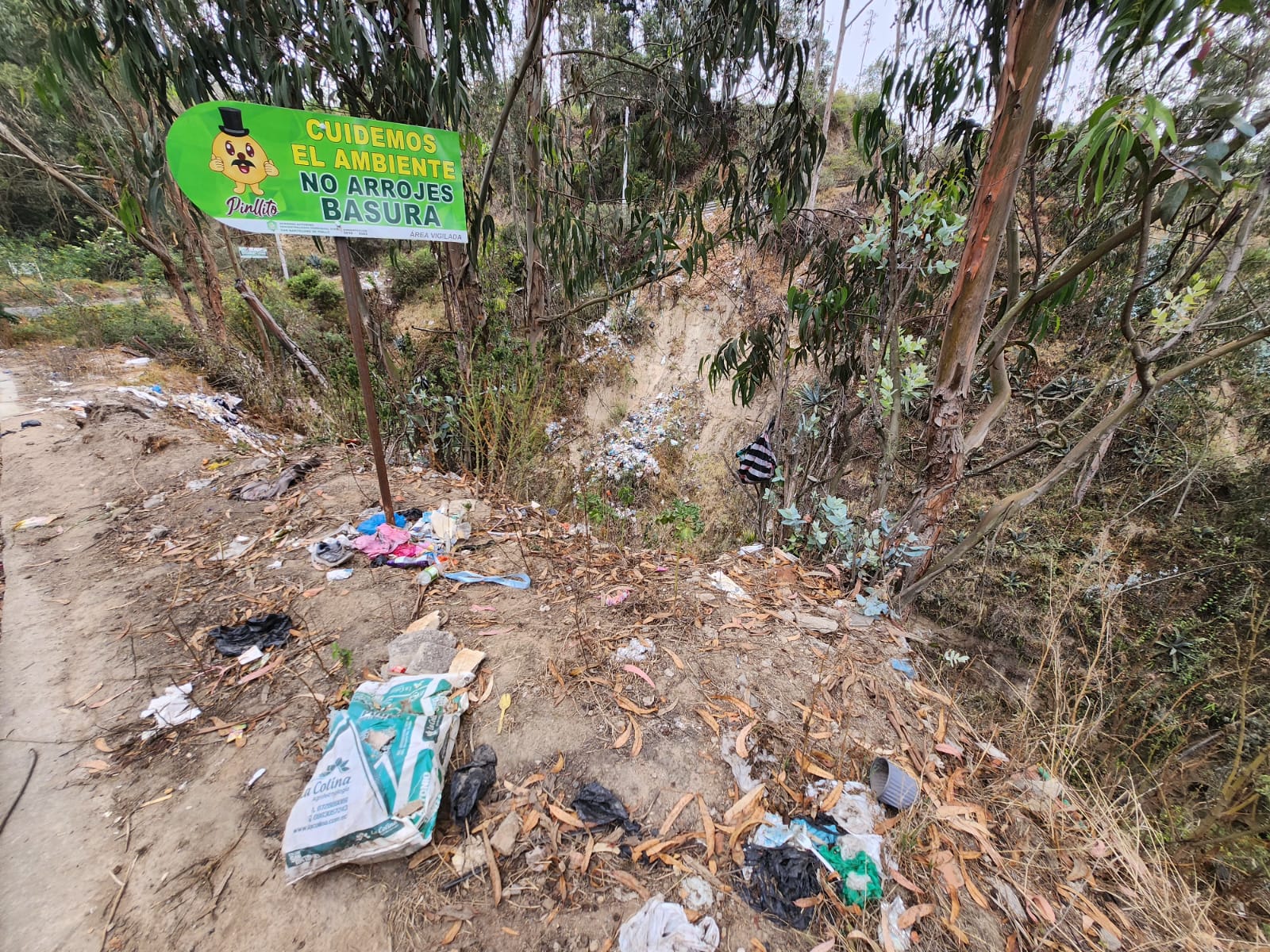 Las quebradas muestran gran cantidad de basura a la vera de las vías donde ciudadanos arrojan los desechos.