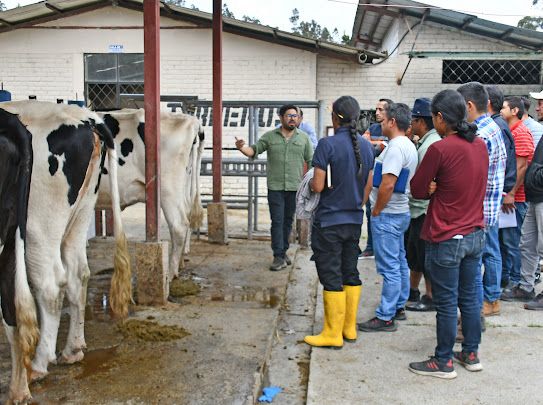 Prefectura y UNL buscan mejorar genética de ganado bovino