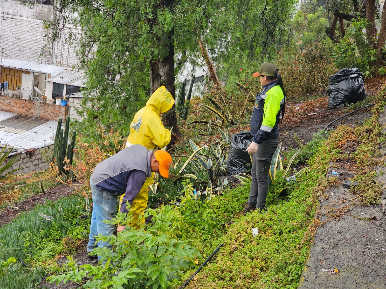 El trabajo se realizó de manera conjunta entre autoridades y vecinos de la zona.