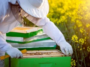 Hombre muere luego de ser picado por abejas en Ambato