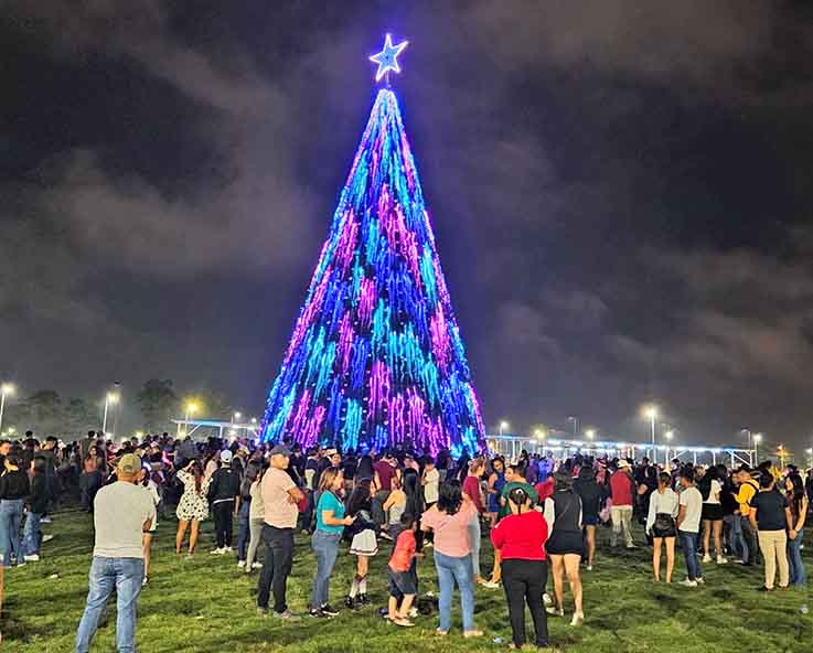  NOVEDAD. La ciudadanía podrá visitar el árbol de Navidad