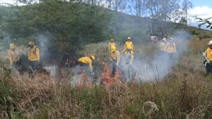 En Imbabura se forman brigadas comunitarias para combatir incendios forestales