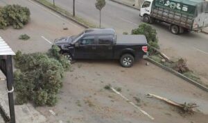 Camioneta choca contra árboles del parterre central en Salasaca