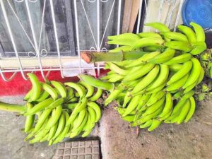 Continúa la especulación en el  precio del plátano