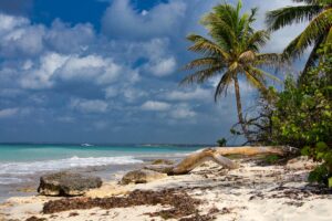 República Dominicana consigue el récord de 10 millones de turistas en un año