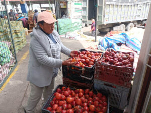 Contrabando está terminando con el tomate de árbol de Tungurahua