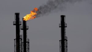 “Pánico” en la OPEP ante posible eliminación de combustibles fósiles