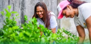 Prefectura de Esmeraldas dona plantas frutales a 250 familias de Muisne