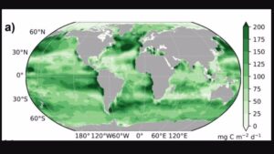 El océano puede estar almacenando más carbono de lo estimado